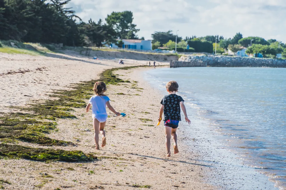 île d'oléron que faire