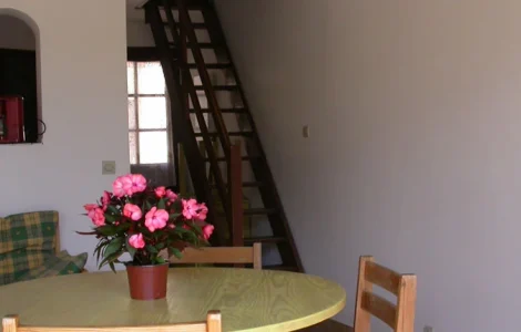 maison de vacances avec piscine à Oléron