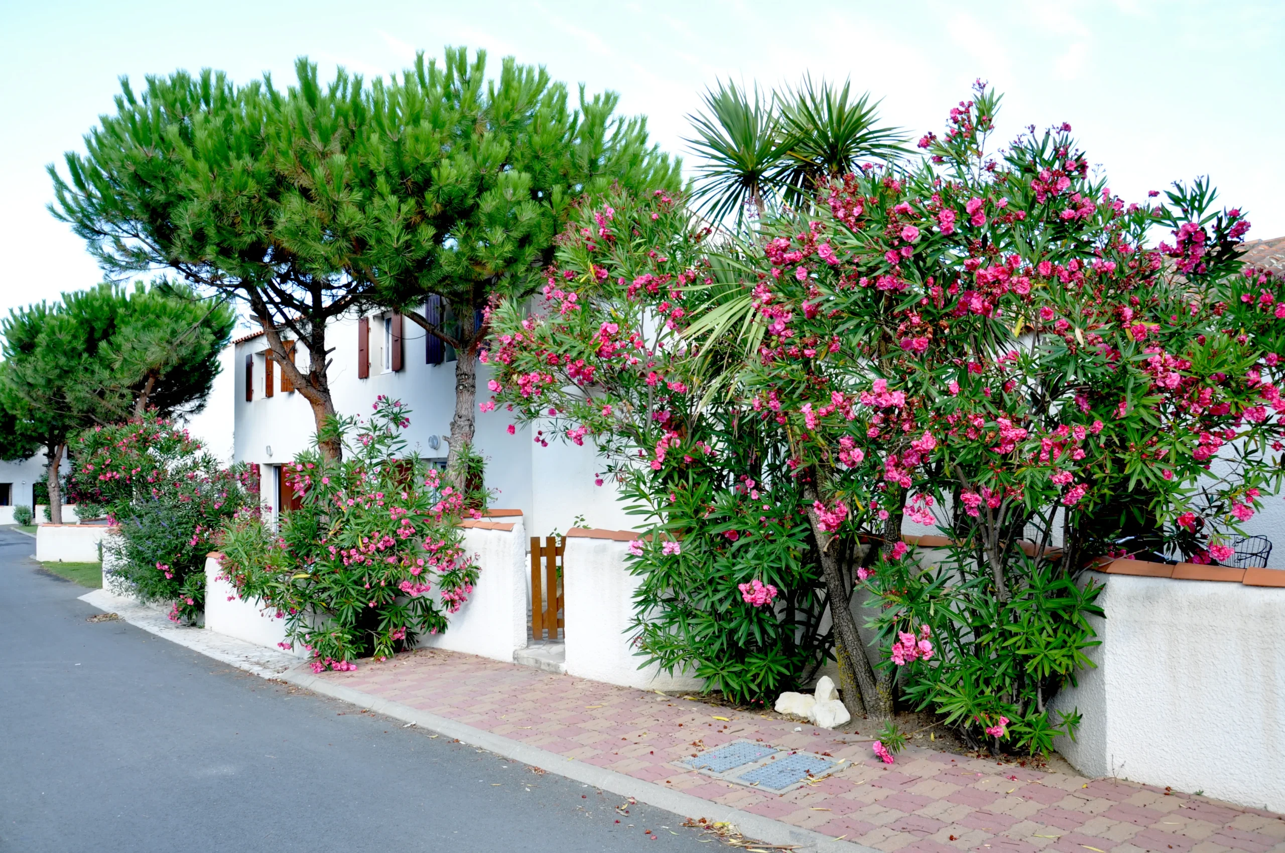 Résidence Les Alizés